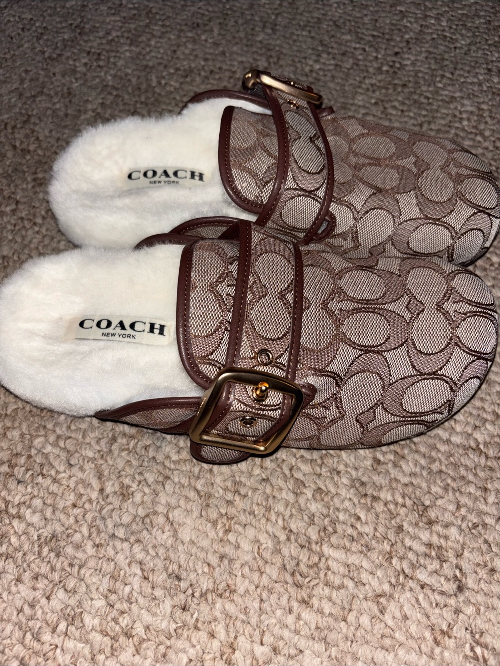 COACH Archival Buckle Clog Canvas With Shearling - Picture 3 of 9
